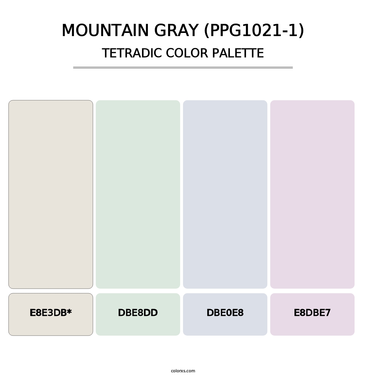 Mountain Gray (PPG1021-1) - Tetradic Color Palette