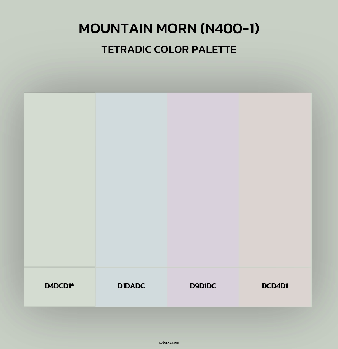 Mountain Morn (N400-1) - Tetradic Color Palette