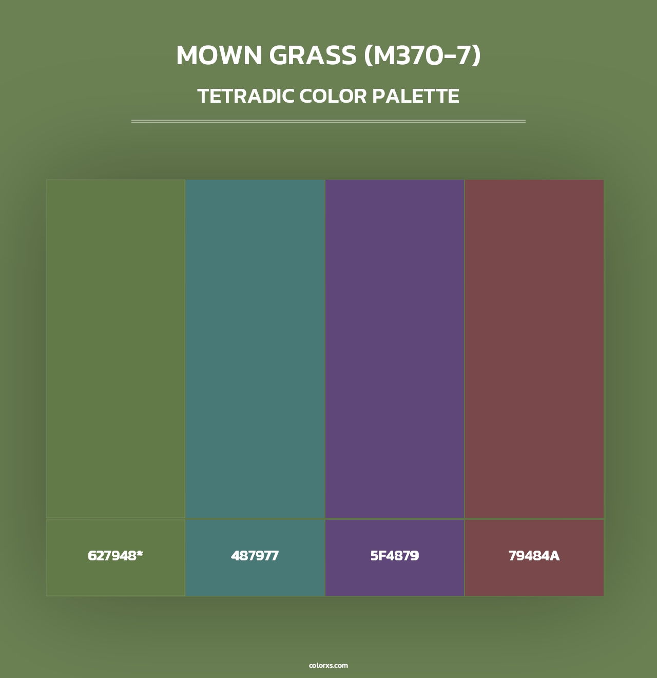 Mown Grass (M370-7) - Tetradic Color Palette