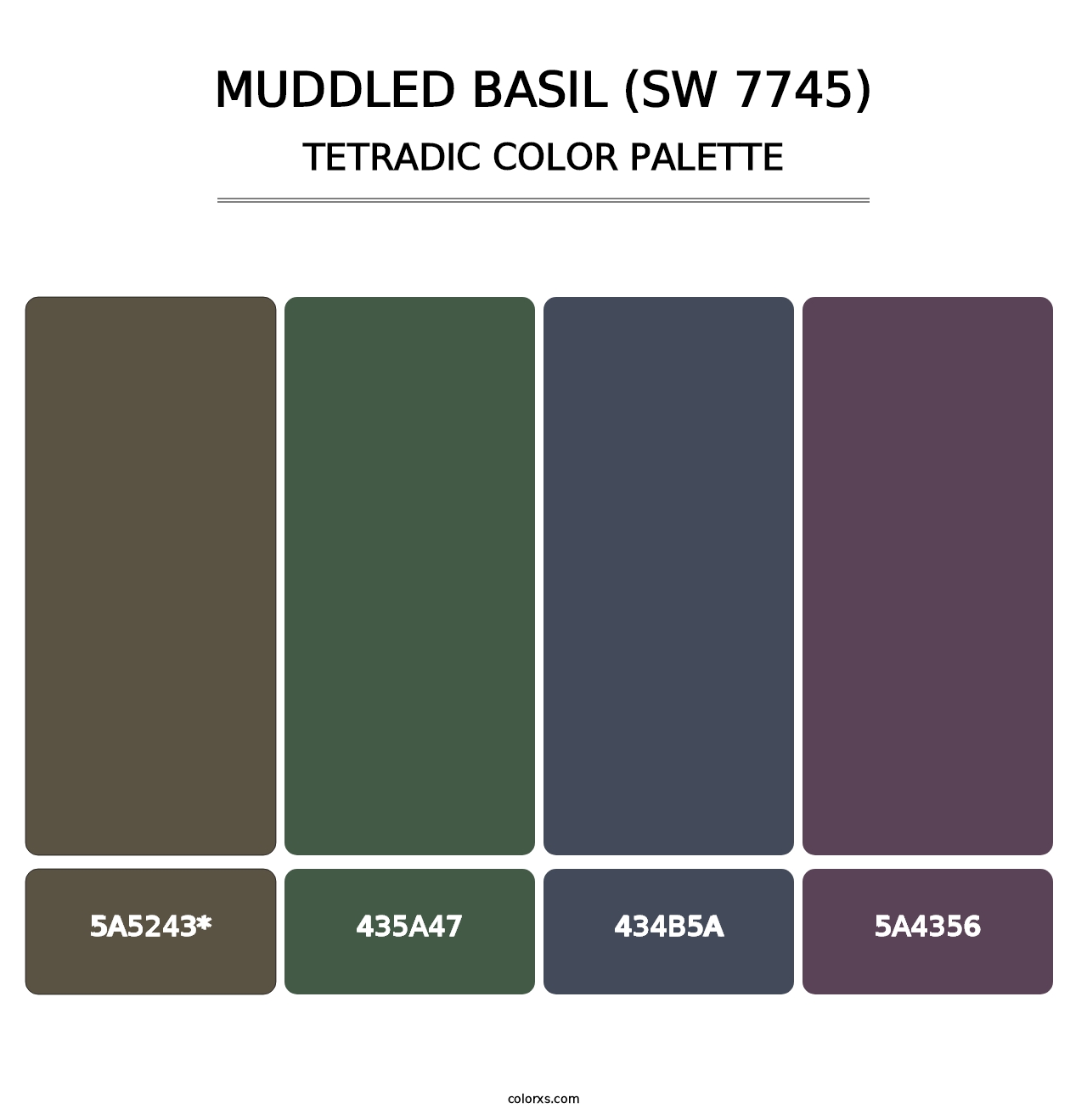 Muddled Basil (SW 7745) - Tetradic Color Palette