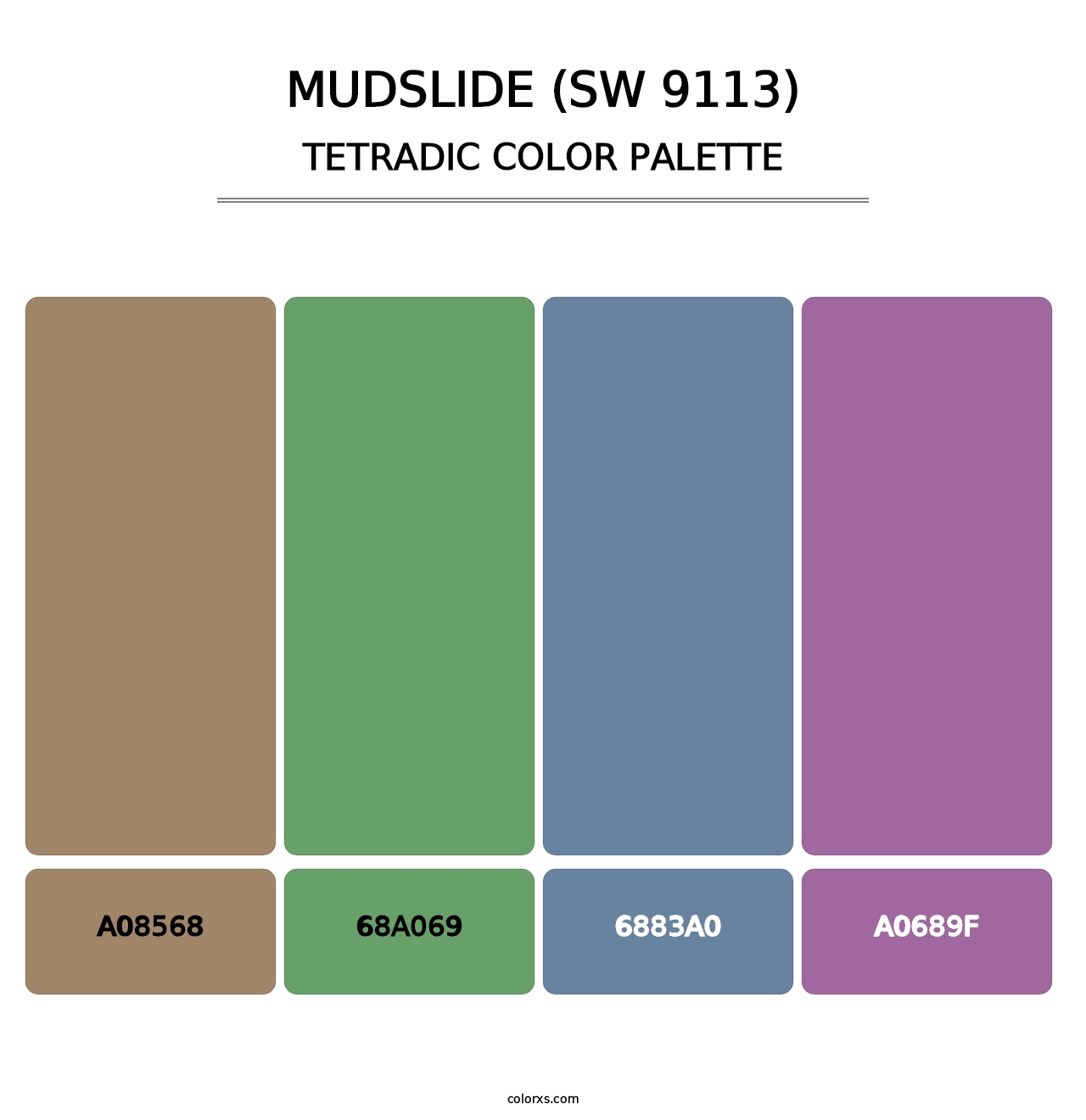 Mudslide (SW 9113) - Tetradic Color Palette