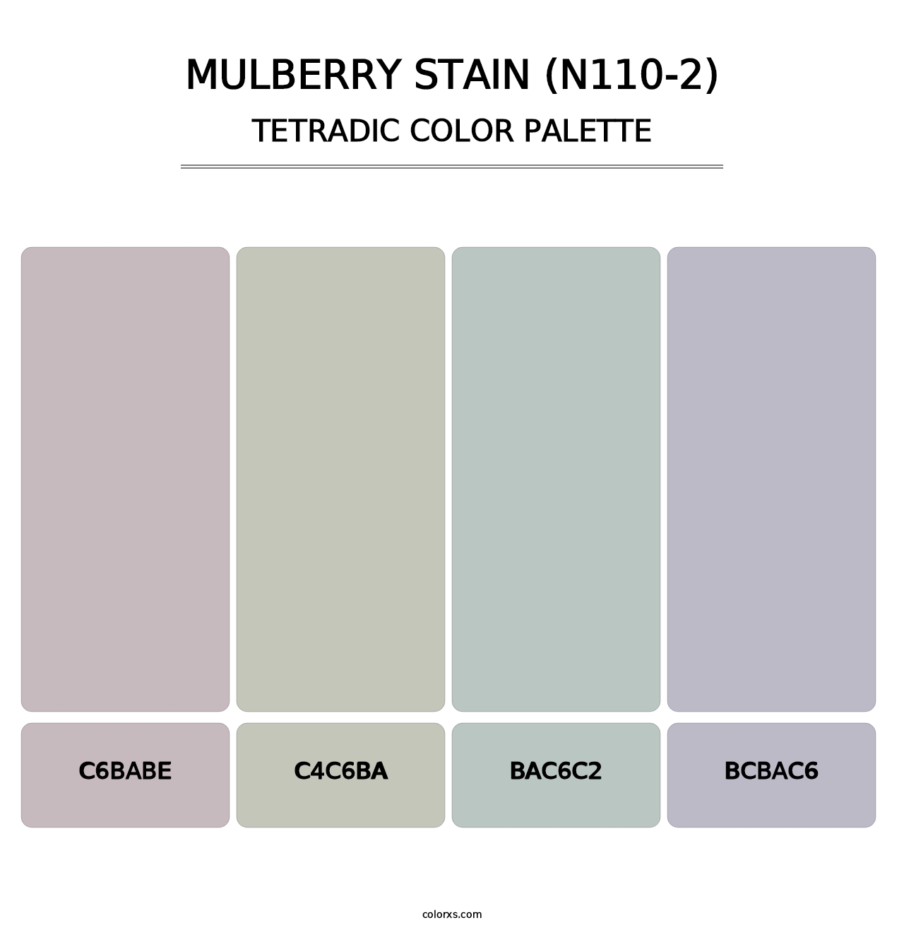 Mulberry Stain (N110-2) - Tetradic Color Palette