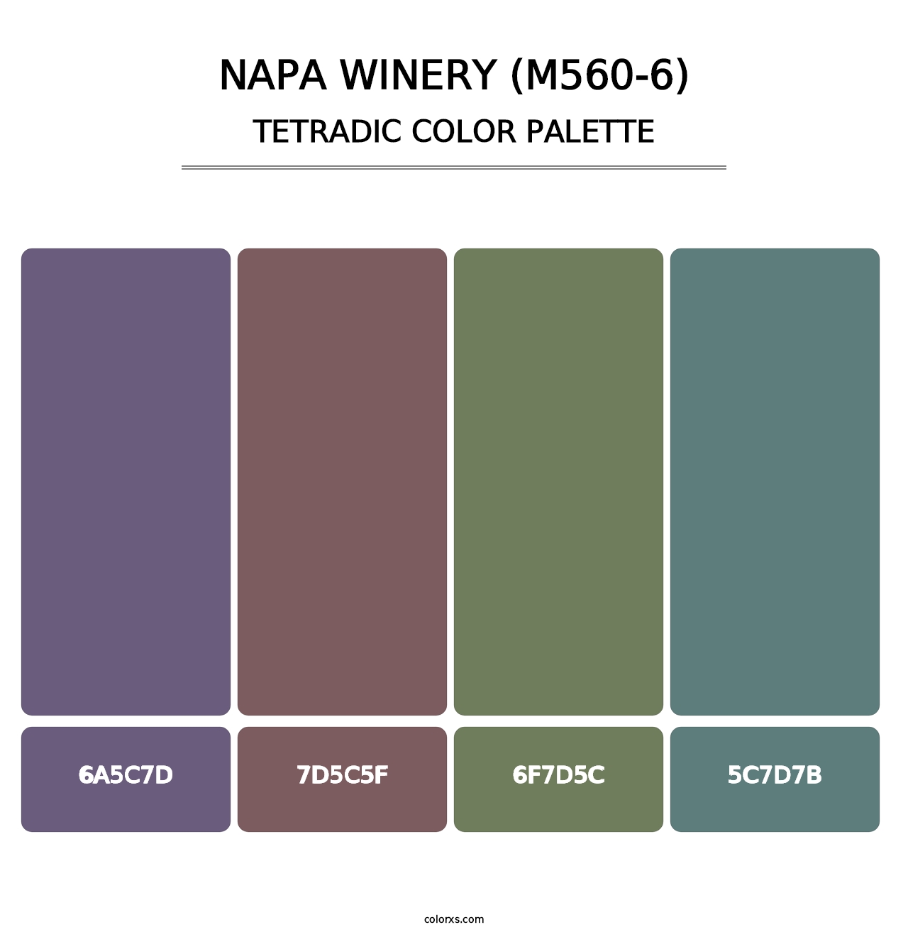 Napa Winery (M560-6) - Tetradic Color Palette