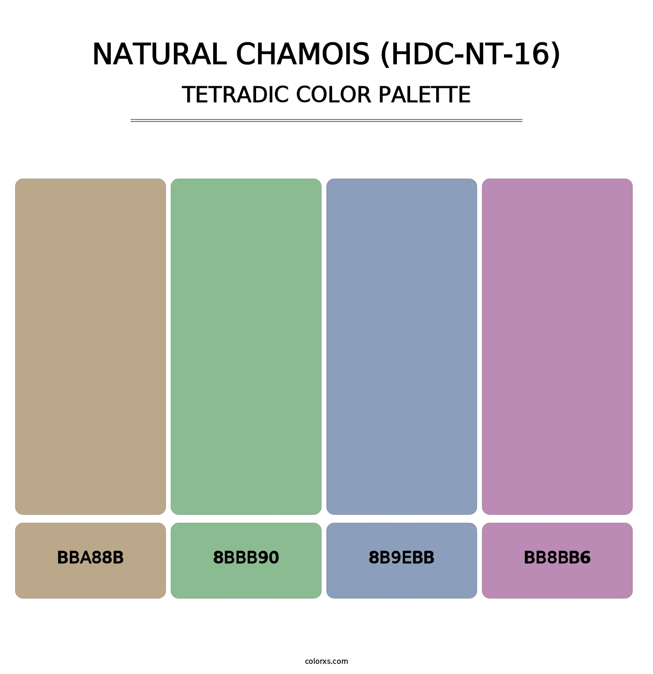 Natural Chamois (HDC-NT-16) - Tetradic Color Palette