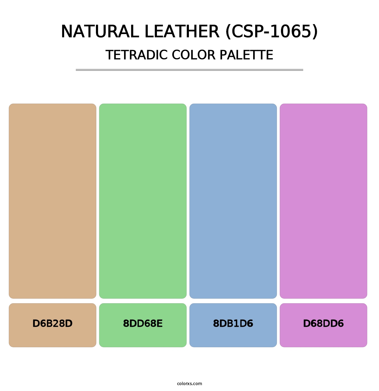 Natural Leather (CSP-1065) - Tetradic Color Palette