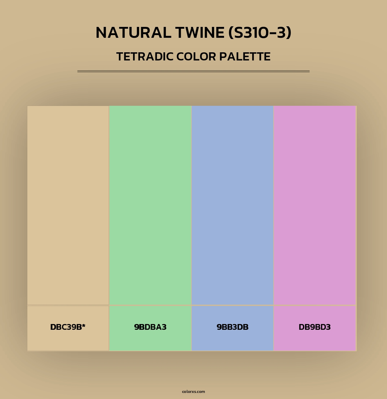 Natural Twine (S310-3) - Tetradic Color Palette