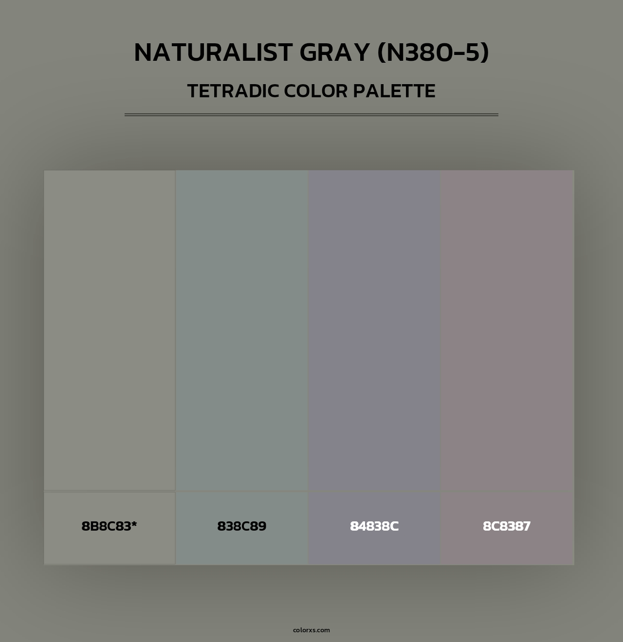 Naturalist Gray (N380-5) - Tetradic Color Palette