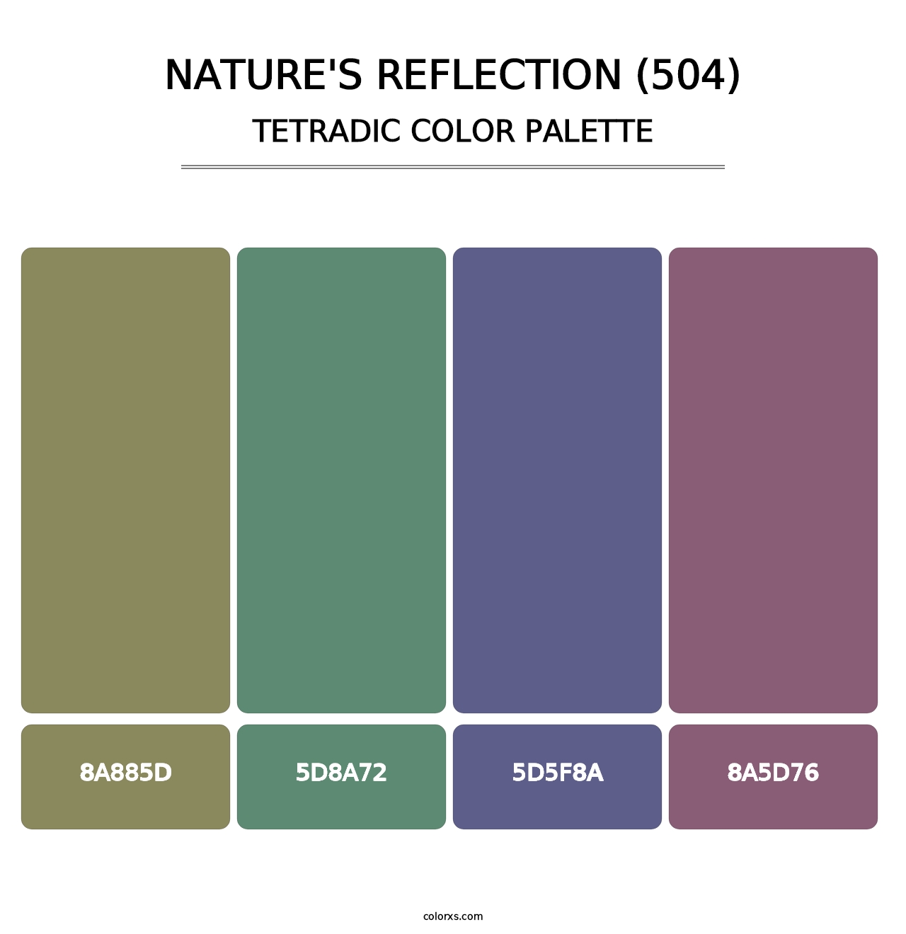 Nature's Reflection (504) - Tetradic Color Palette