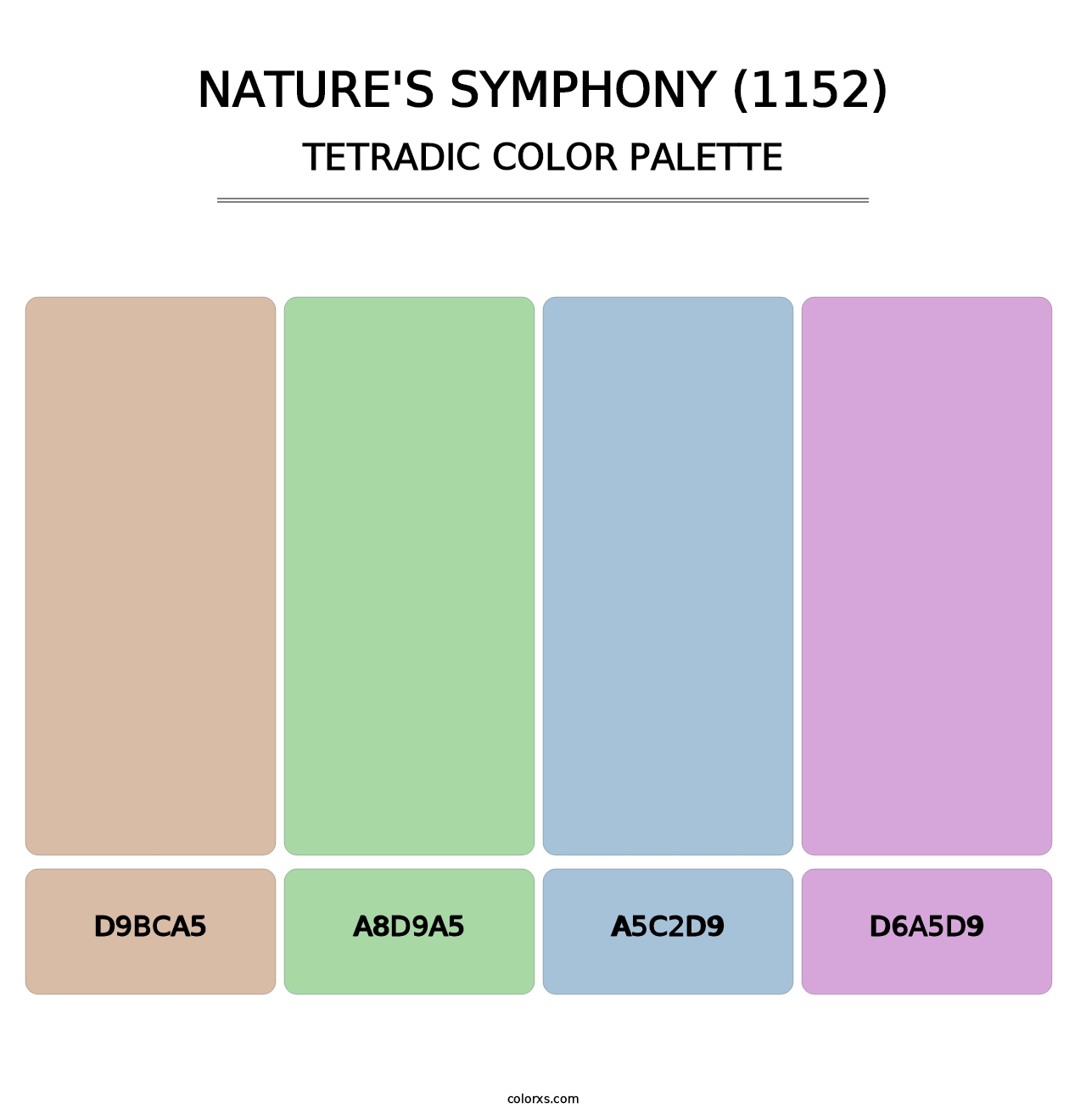Nature's Symphony (1152) - Tetradic Color Palette