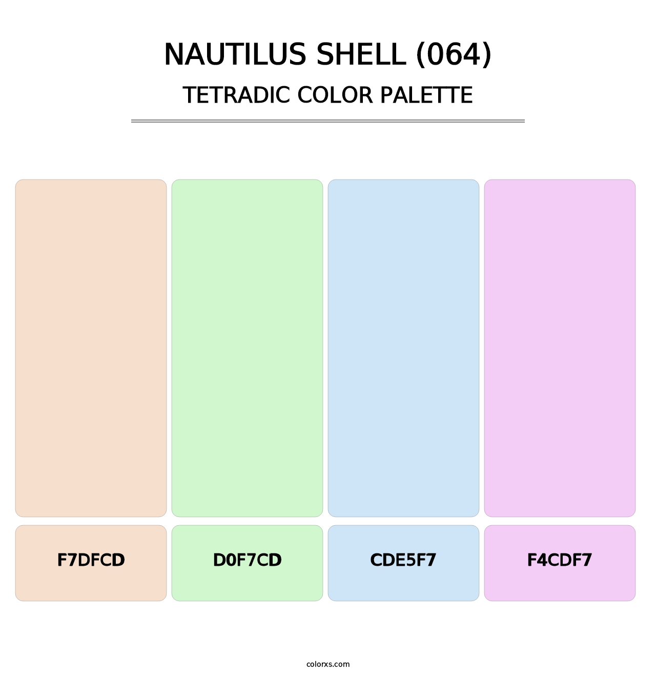 Nautilus Shell (064) - Tetradic Color Palette
