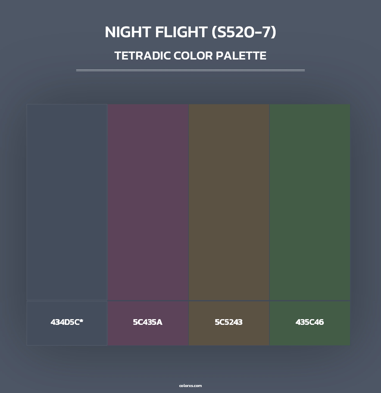 Night Flight (S520-7) - Tetradic Color Palette