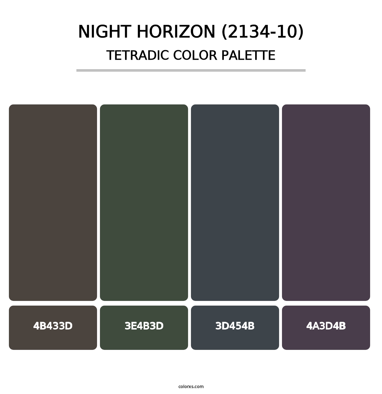 Night Horizon (2134-10) - Tetradic Color Palette