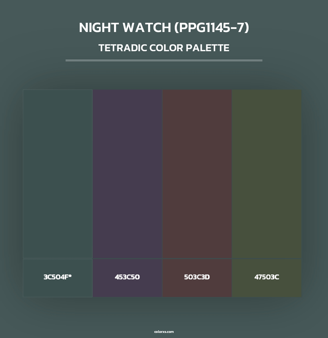 Night Watch (PPG1145-7) - Tetradic Color Palette