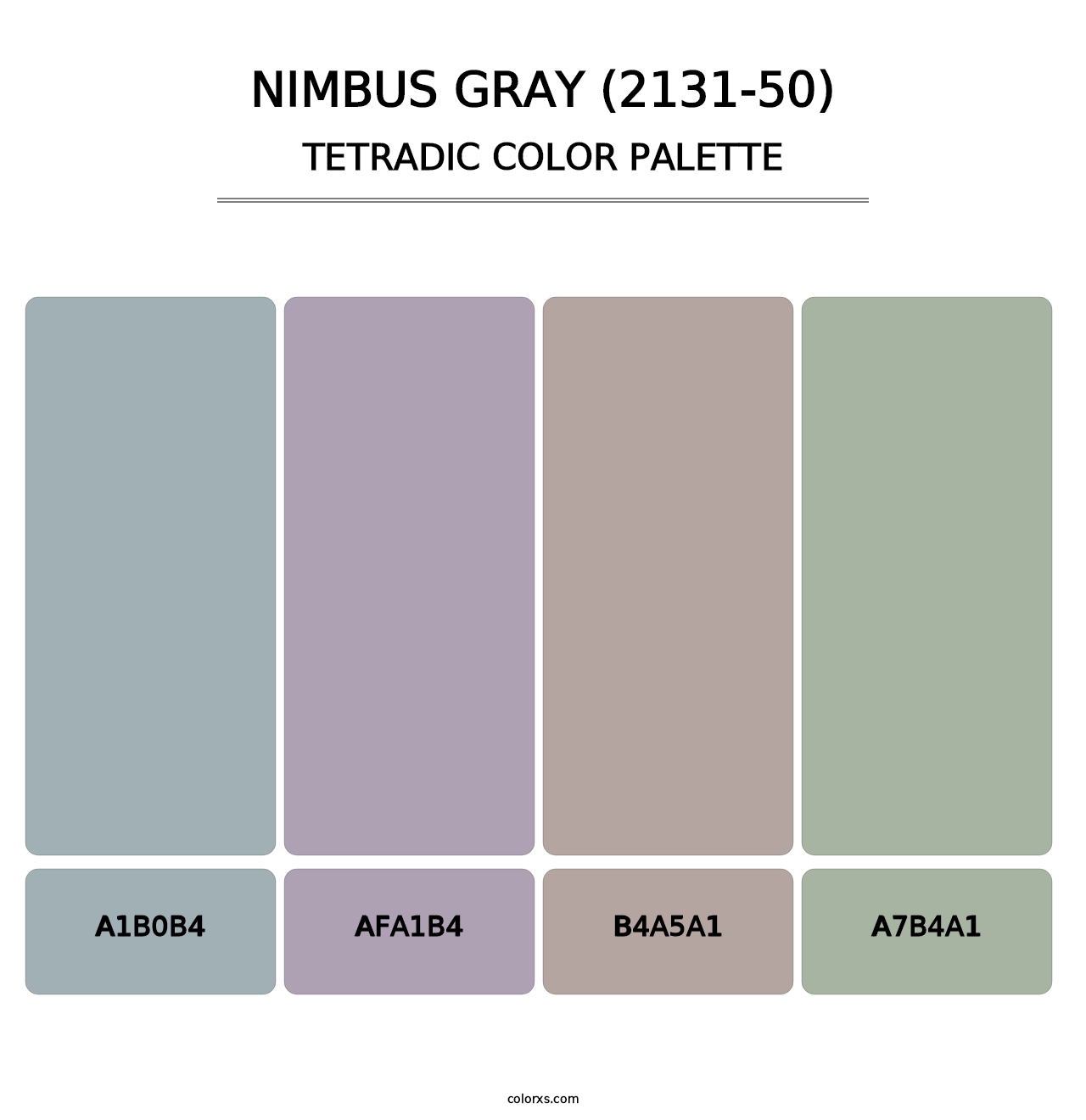 Nimbus Gray (2131-50) - Tetradic Color Palette