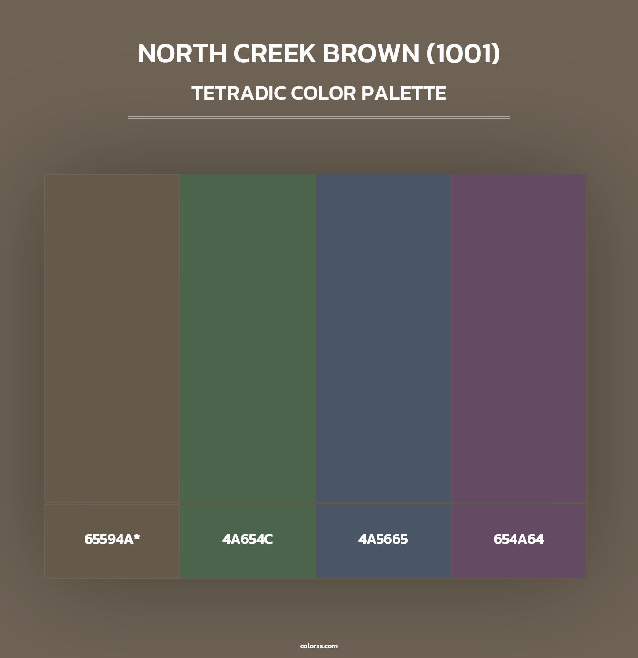 North Creek Brown (1001) - Tetradic Color Palette