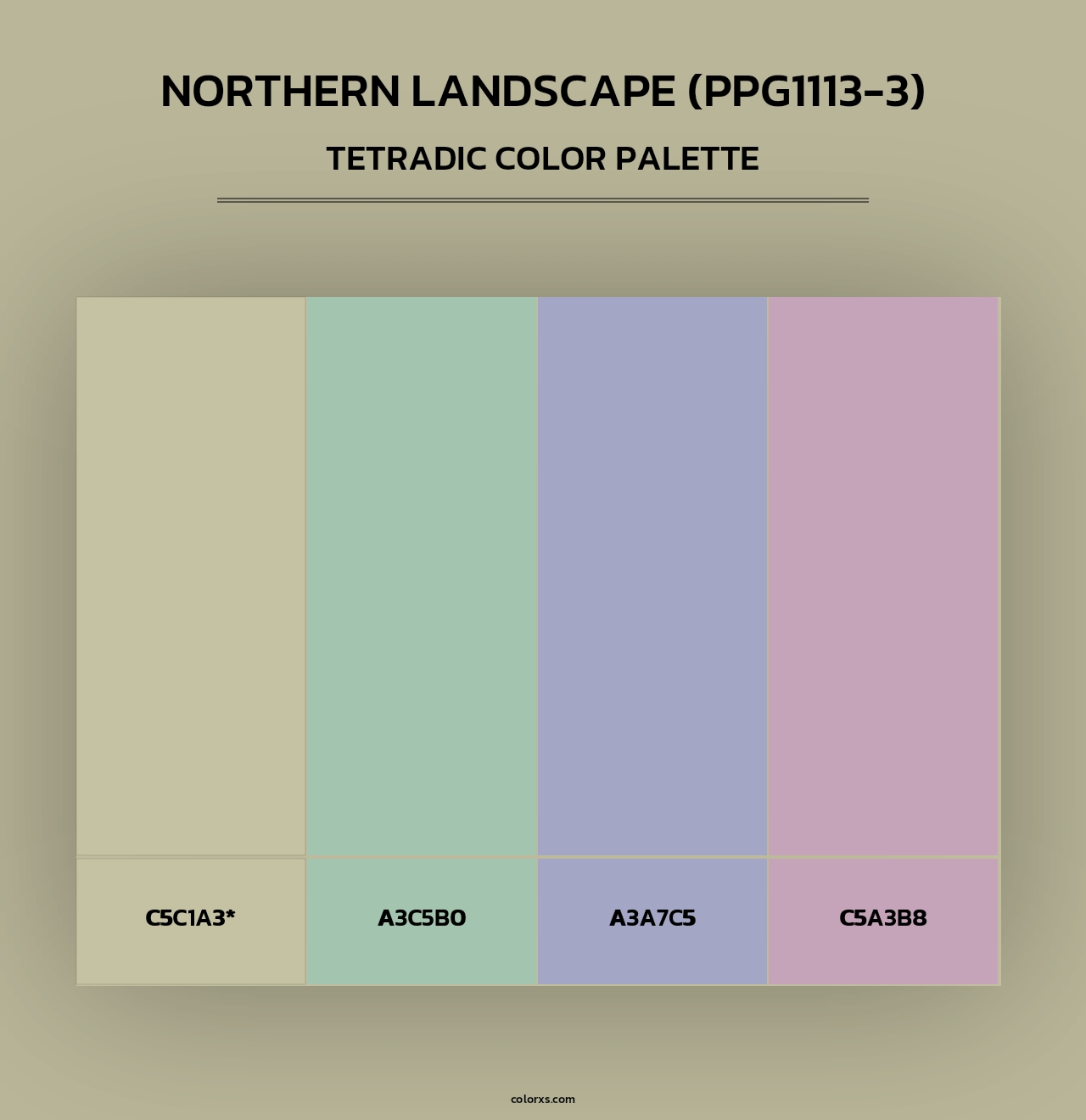 Northern Landscape (PPG1113-3) - Tetradic Color Palette