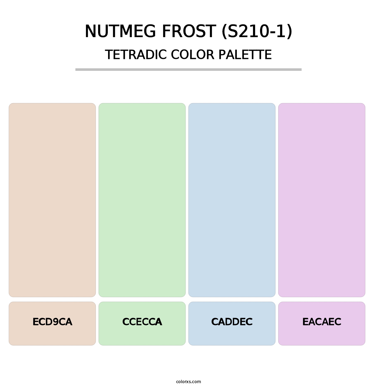 Nutmeg Frost (S210-1) - Tetradic Color Palette