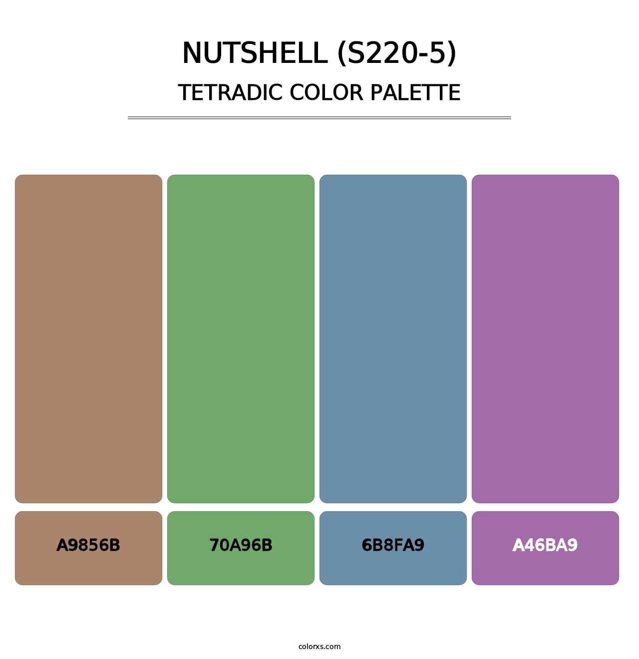 Nutshell (S220-5) - Tetradic Color Palette