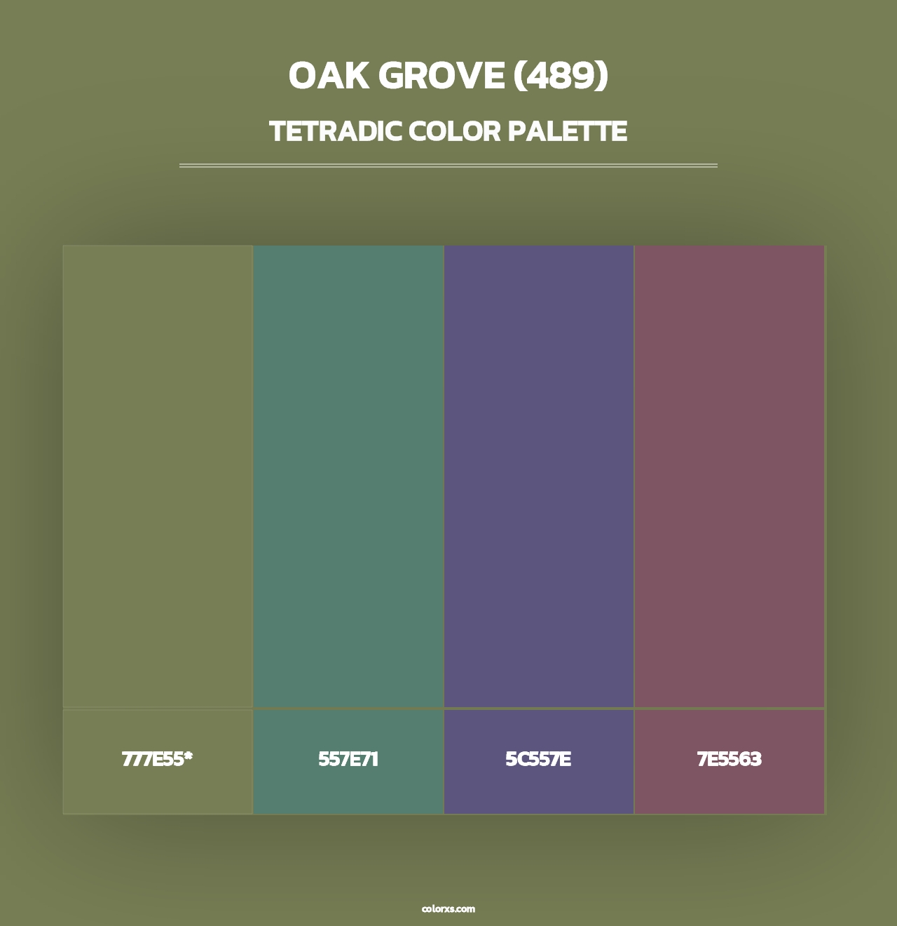 Oak Grove (489) - Tetradic Color Palette