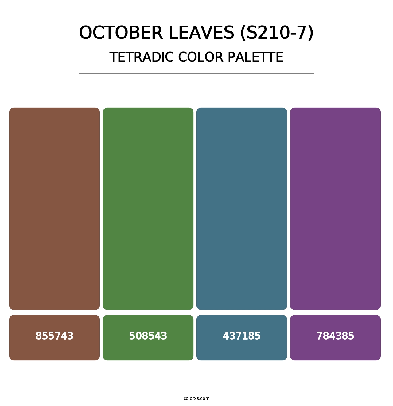 October Leaves (S210-7) - Tetradic Color Palette