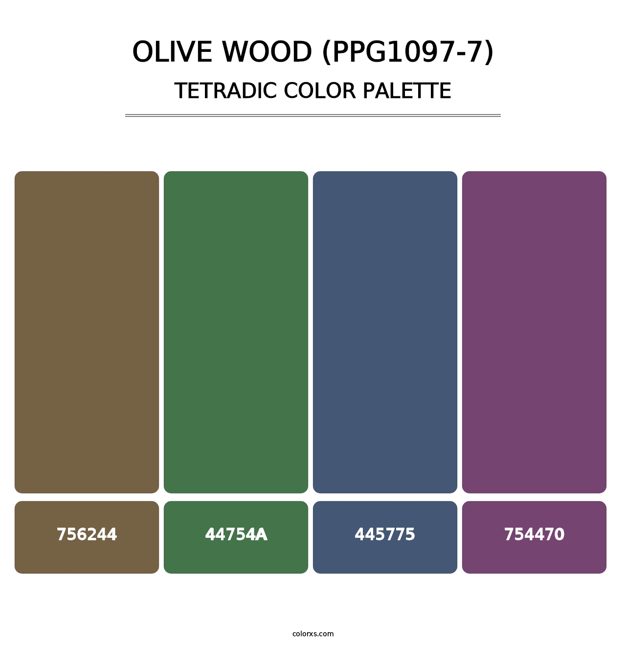 Olive Wood (PPG1097-7) - Tetradic Color Palette
