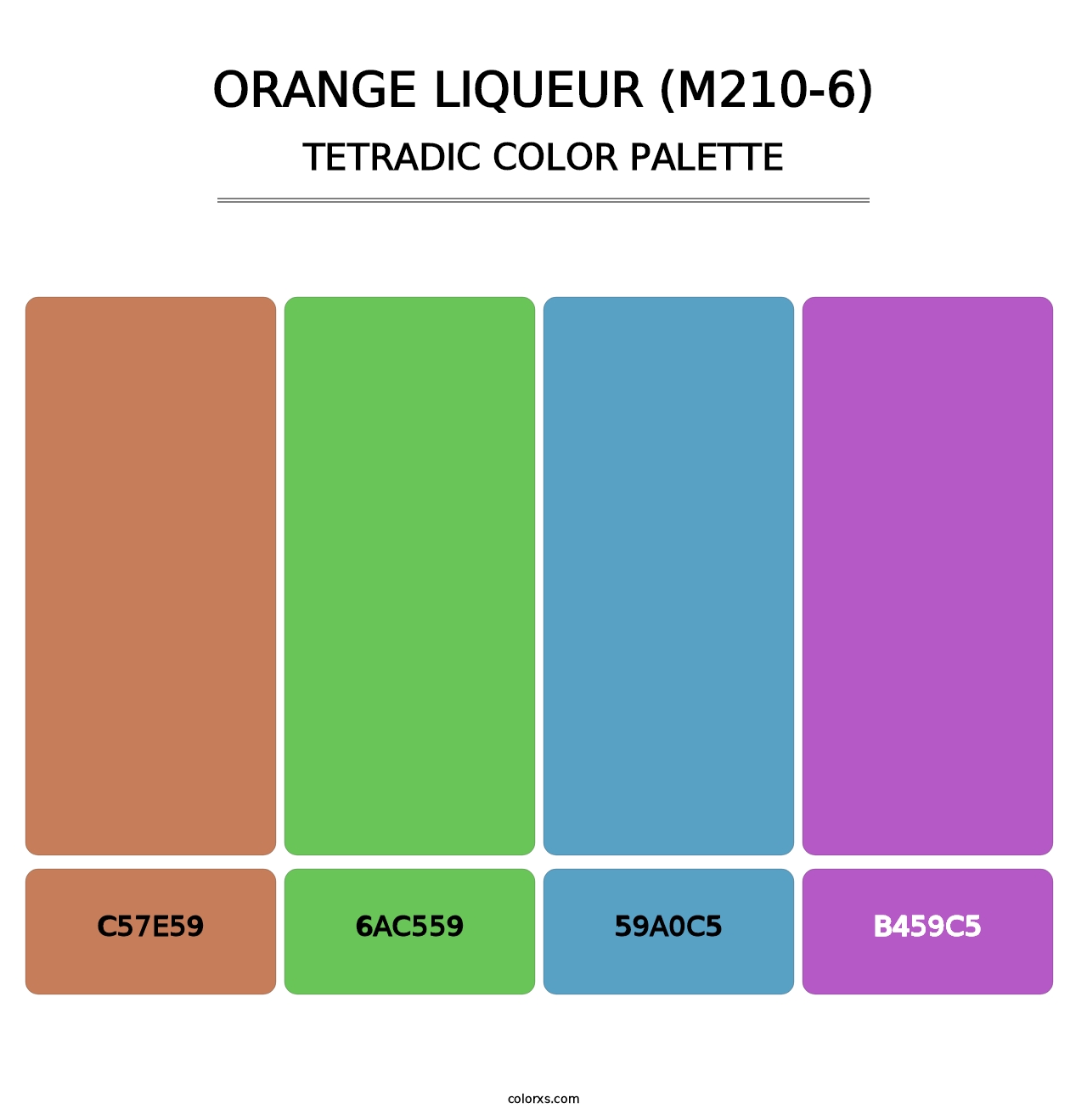 Orange Liqueur (M210-6) - Tetradic Color Palette