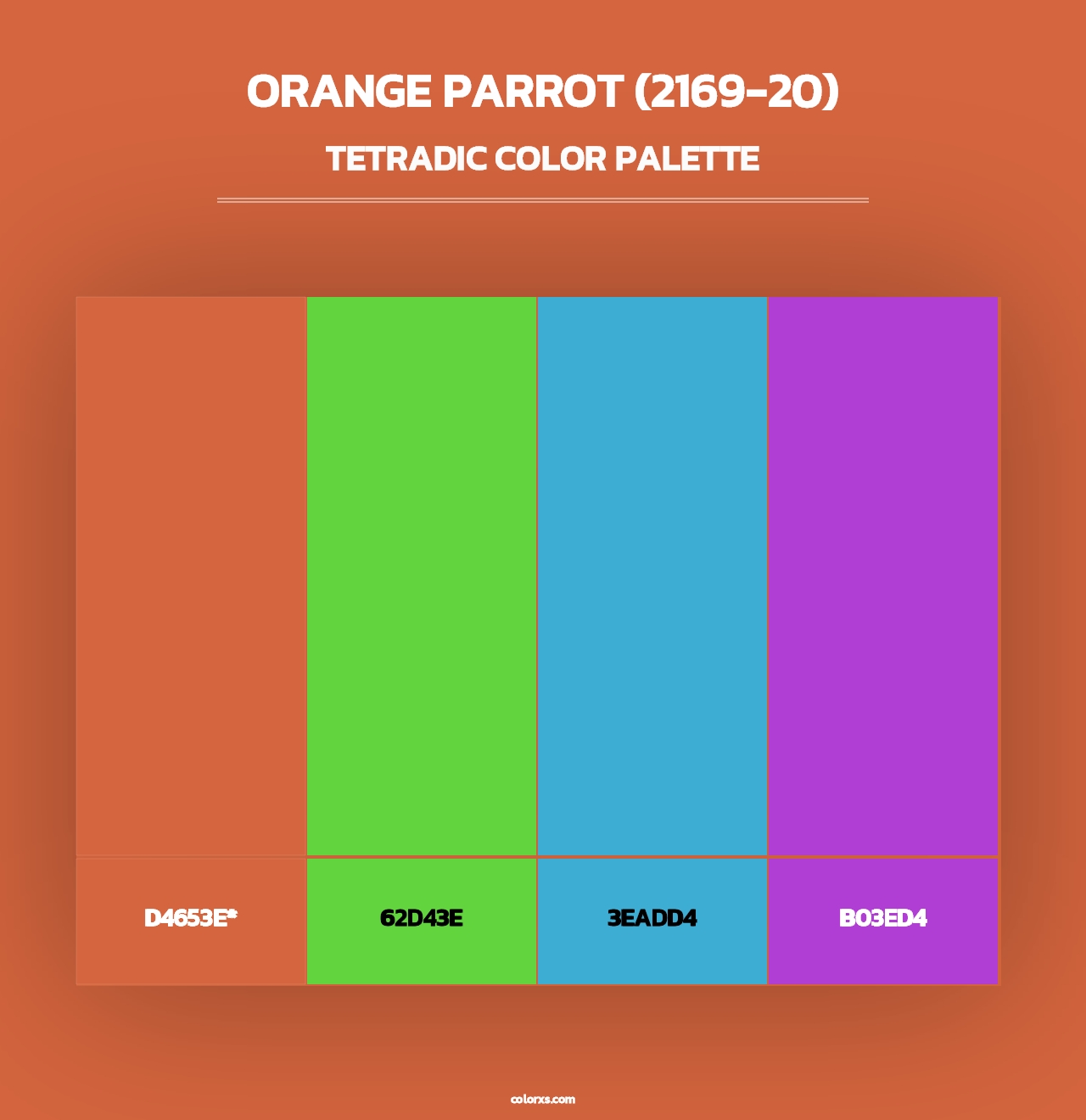 Orange Parrot (2169-20) - Tetradic Color Palette