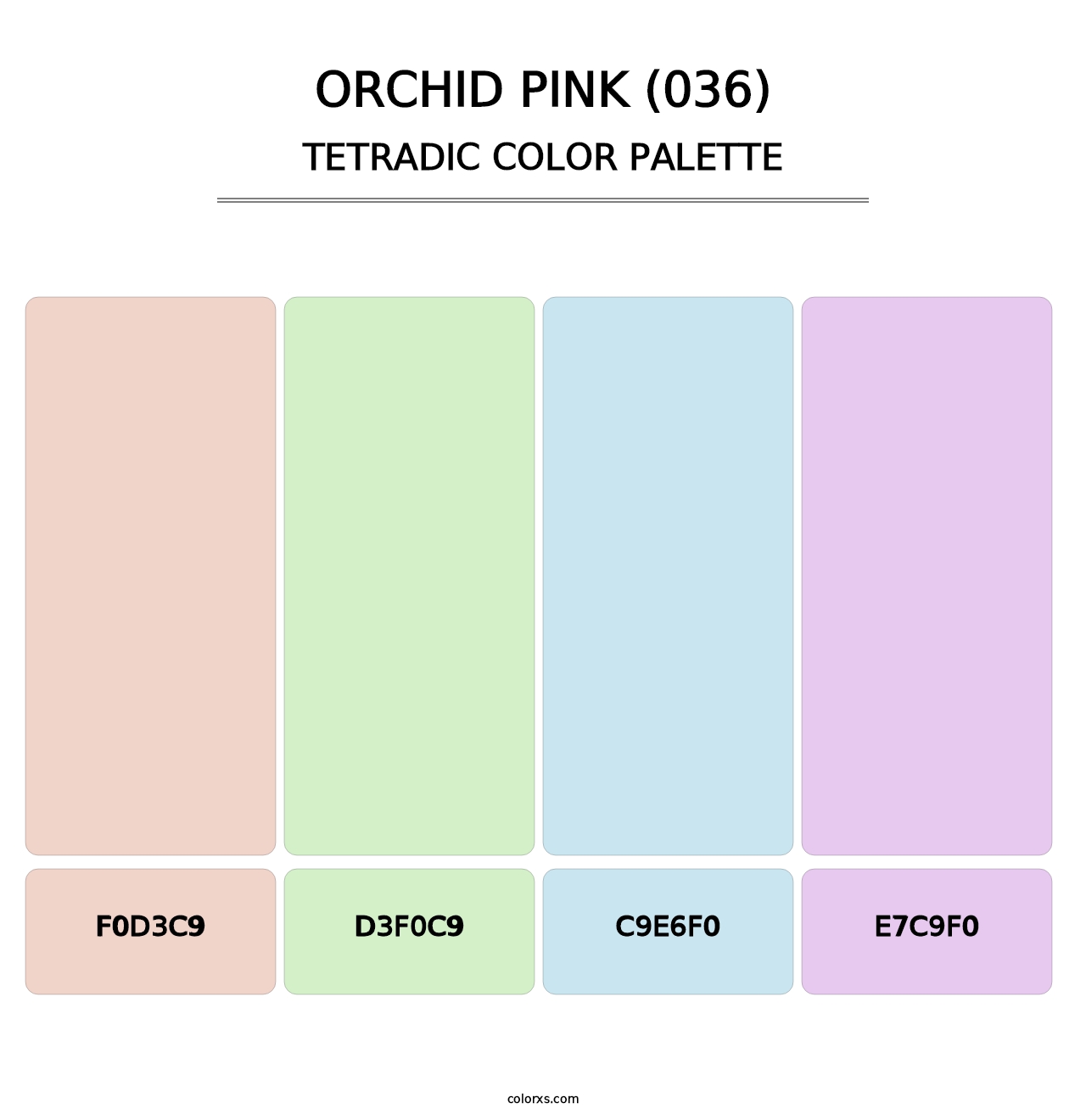 Orchid Pink (036) - Tetradic Color Palette