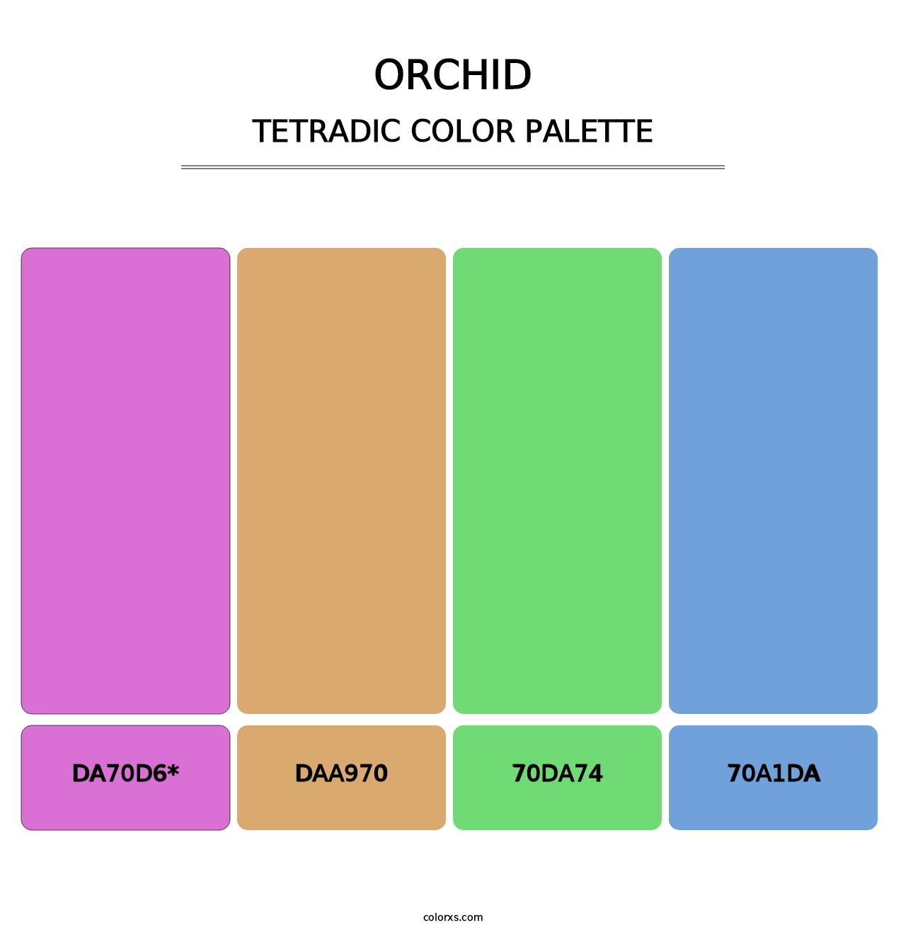 Orchid - Tetradic Color Palette