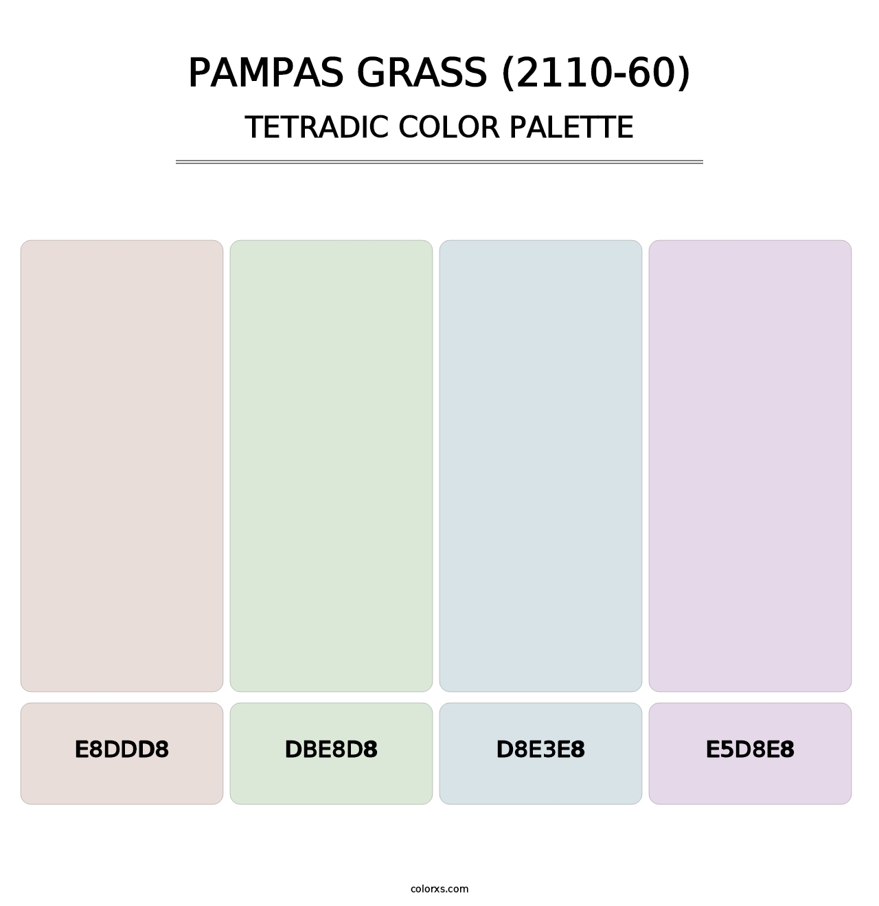 Pampas Grass (2110-60) - Tetradic Color Palette