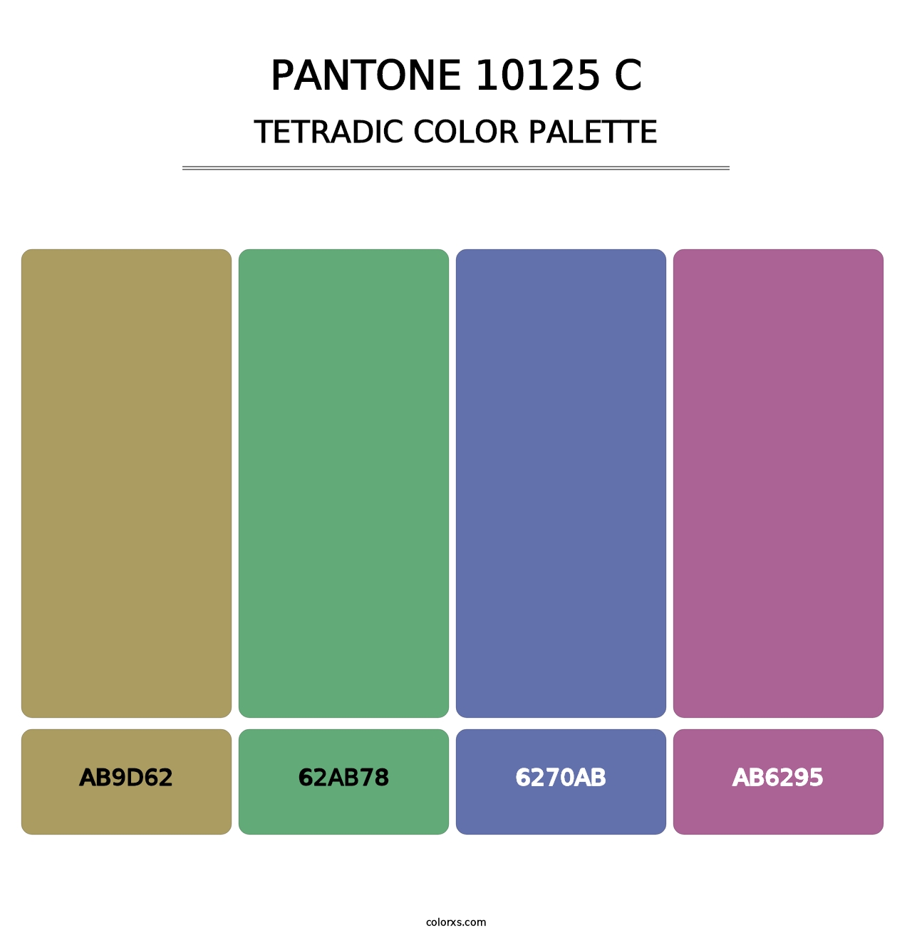 PANTONE 10125 C - Tetradic Color Palette