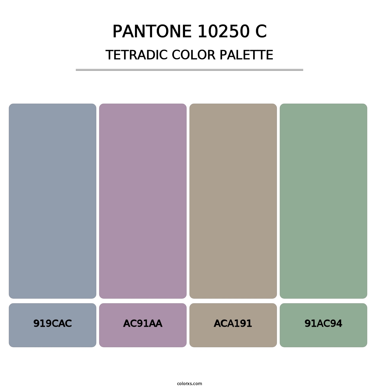 PANTONE 10250 C - Tetradic Color Palette