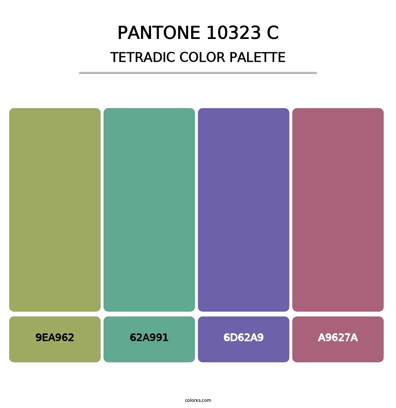 PANTONE 10323 C - Tetradic Color Palette