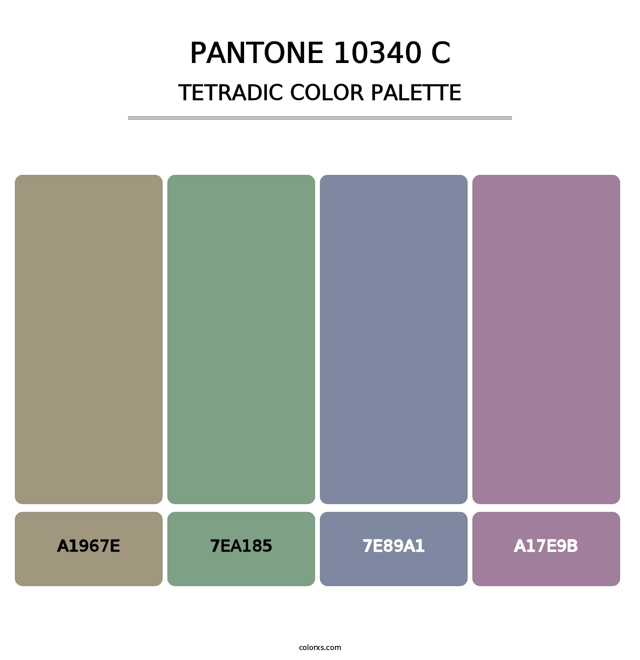 PANTONE 10340 C - Tetradic Color Palette