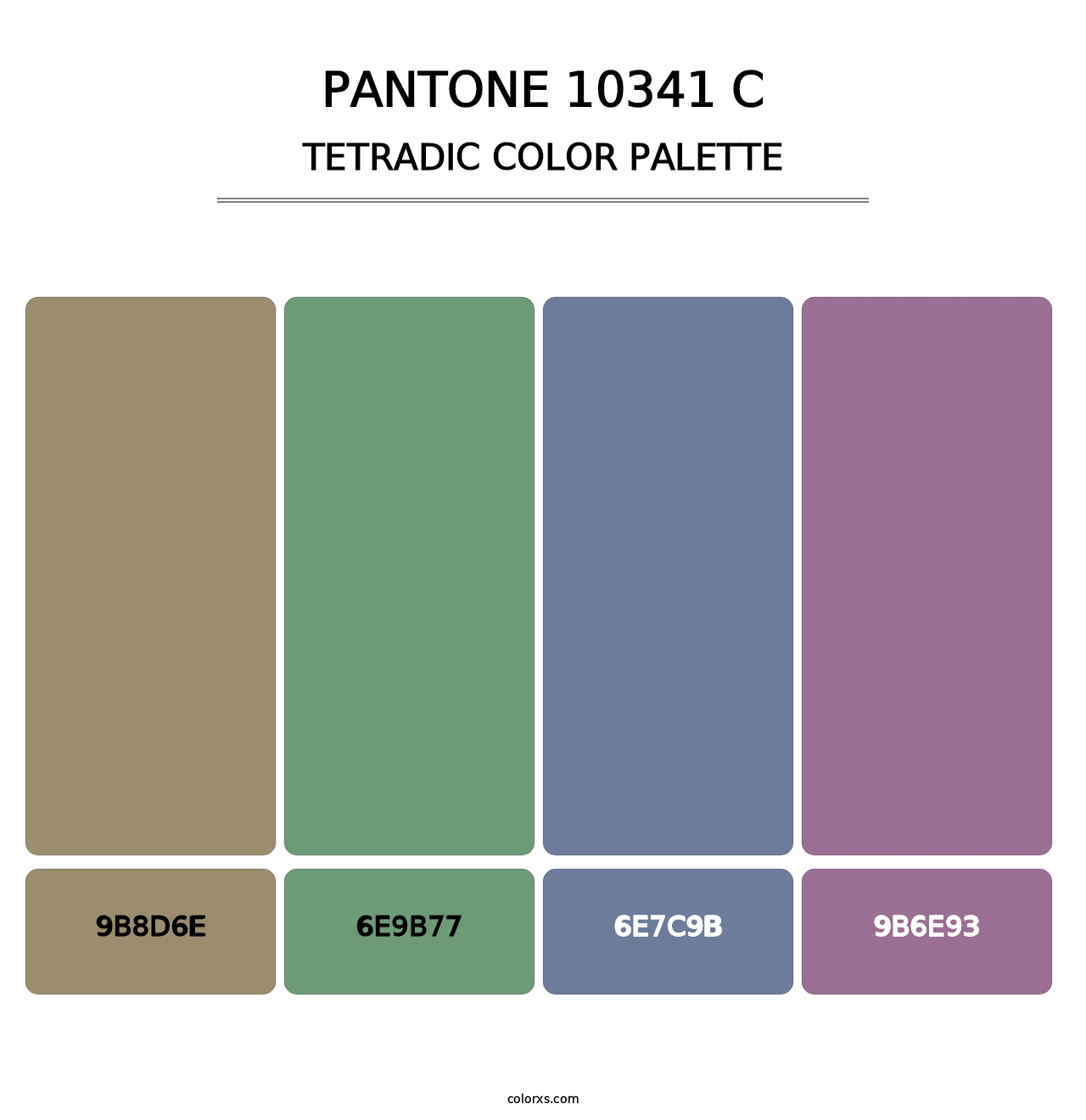 PANTONE 10341 C - Tetradic Color Palette