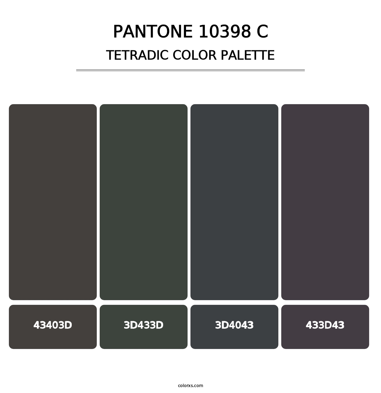 PANTONE 10398 C - Tetradic Color Palette