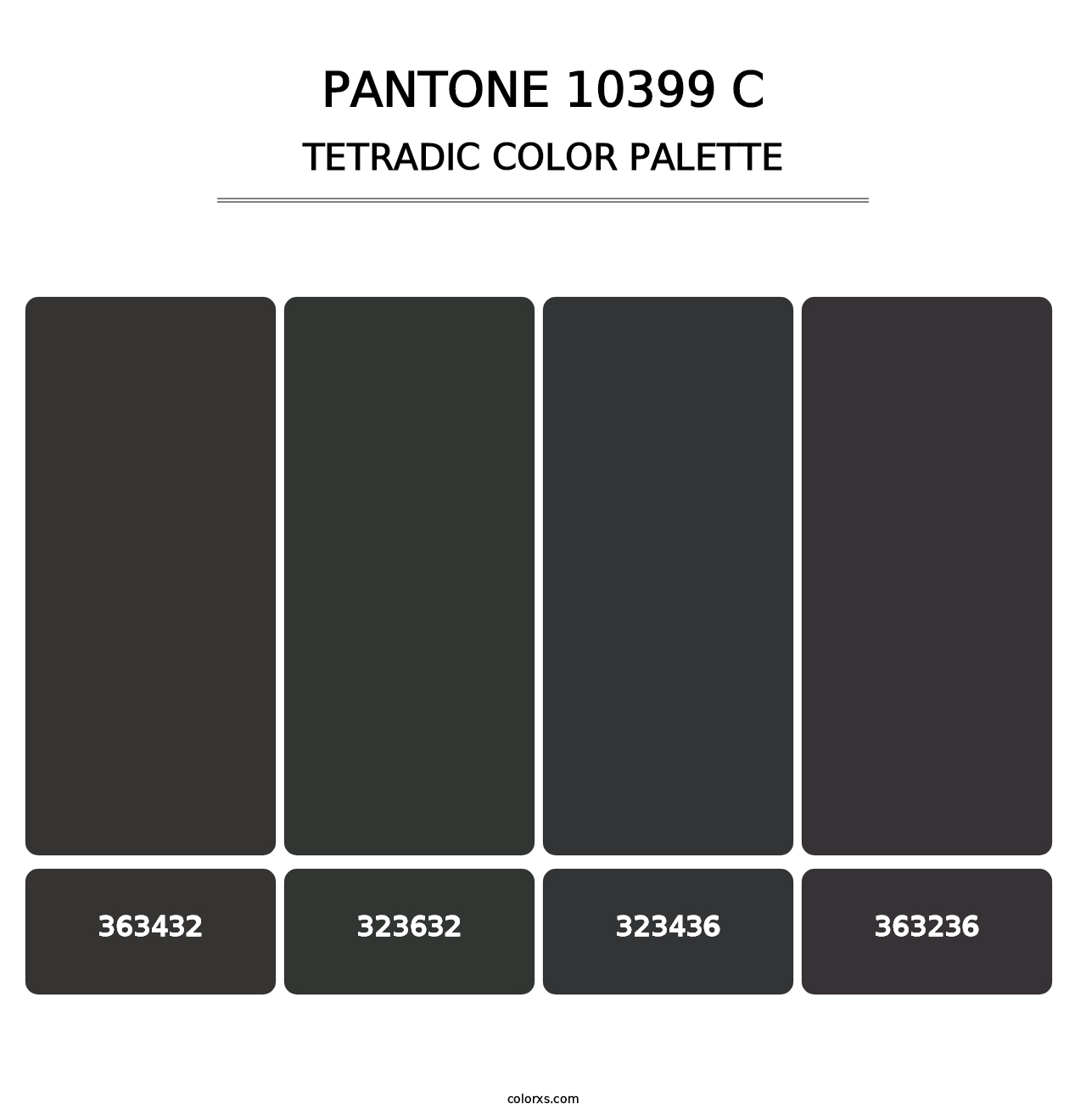 PANTONE 10399 C - Tetradic Color Palette