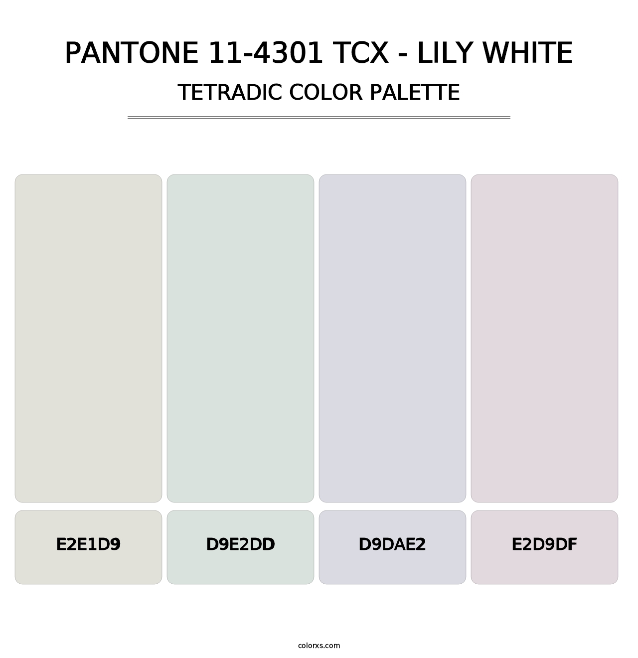 PANTONE 11-4301 TCX - Lily White - Tetradic Color Palette