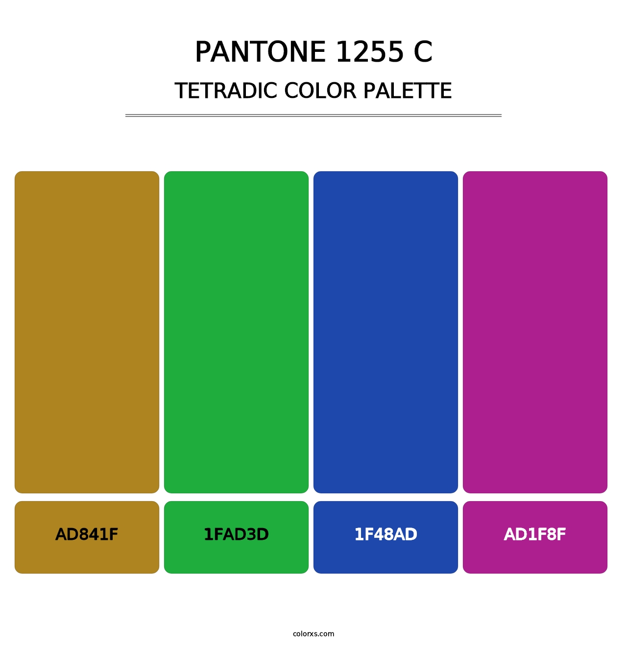 PANTONE 1255 C - Tetradic Color Palette