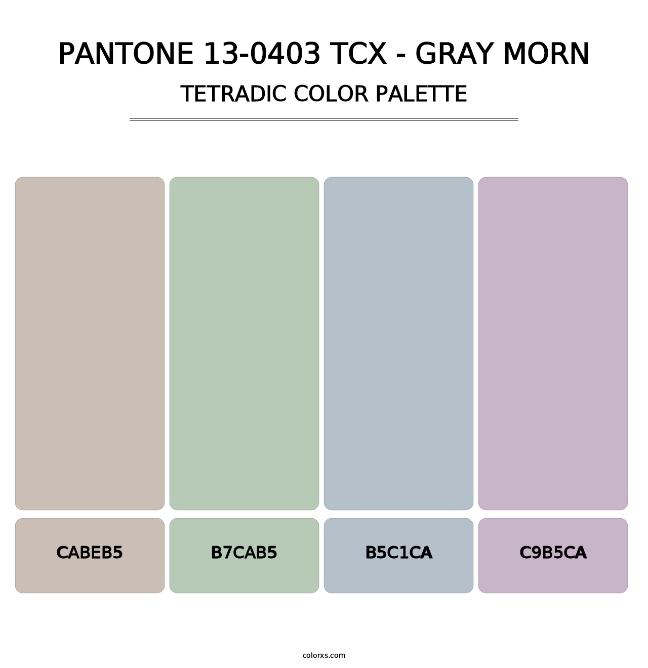 PANTONE 13-0403 TCX - Gray Morn - Tetradic Color Palette