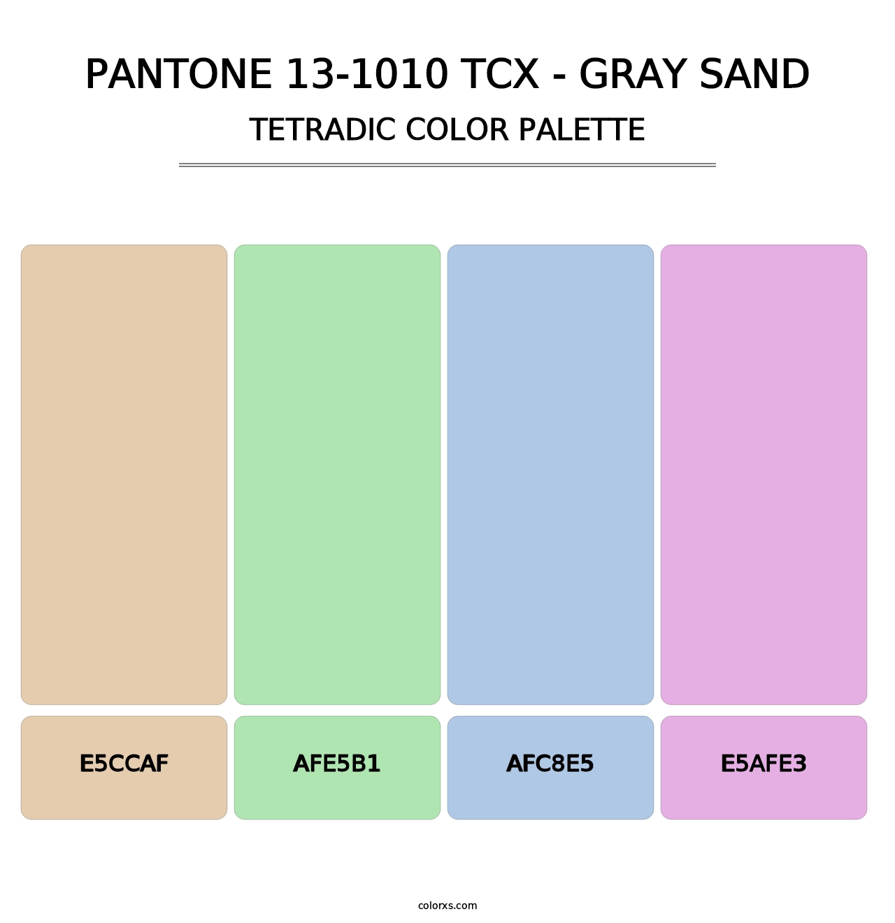 PANTONE 13-1010 TCX - Gray Sand - Tetradic Color Palette