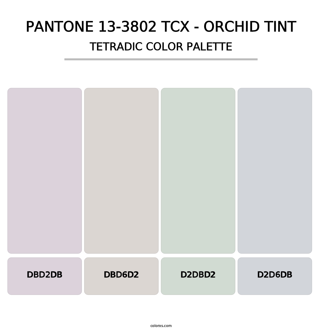 PANTONE 13-3802 TCX - Orchid Tint - Tetradic Color Palette