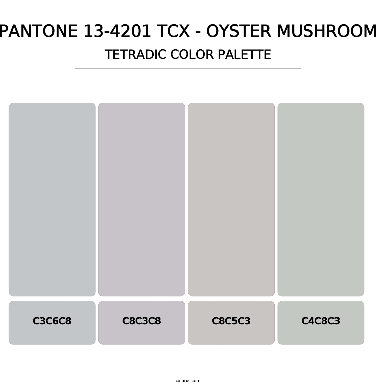 PANTONE 13-4201 TCX - Oyster Mushroom - Tetradic Color Palette