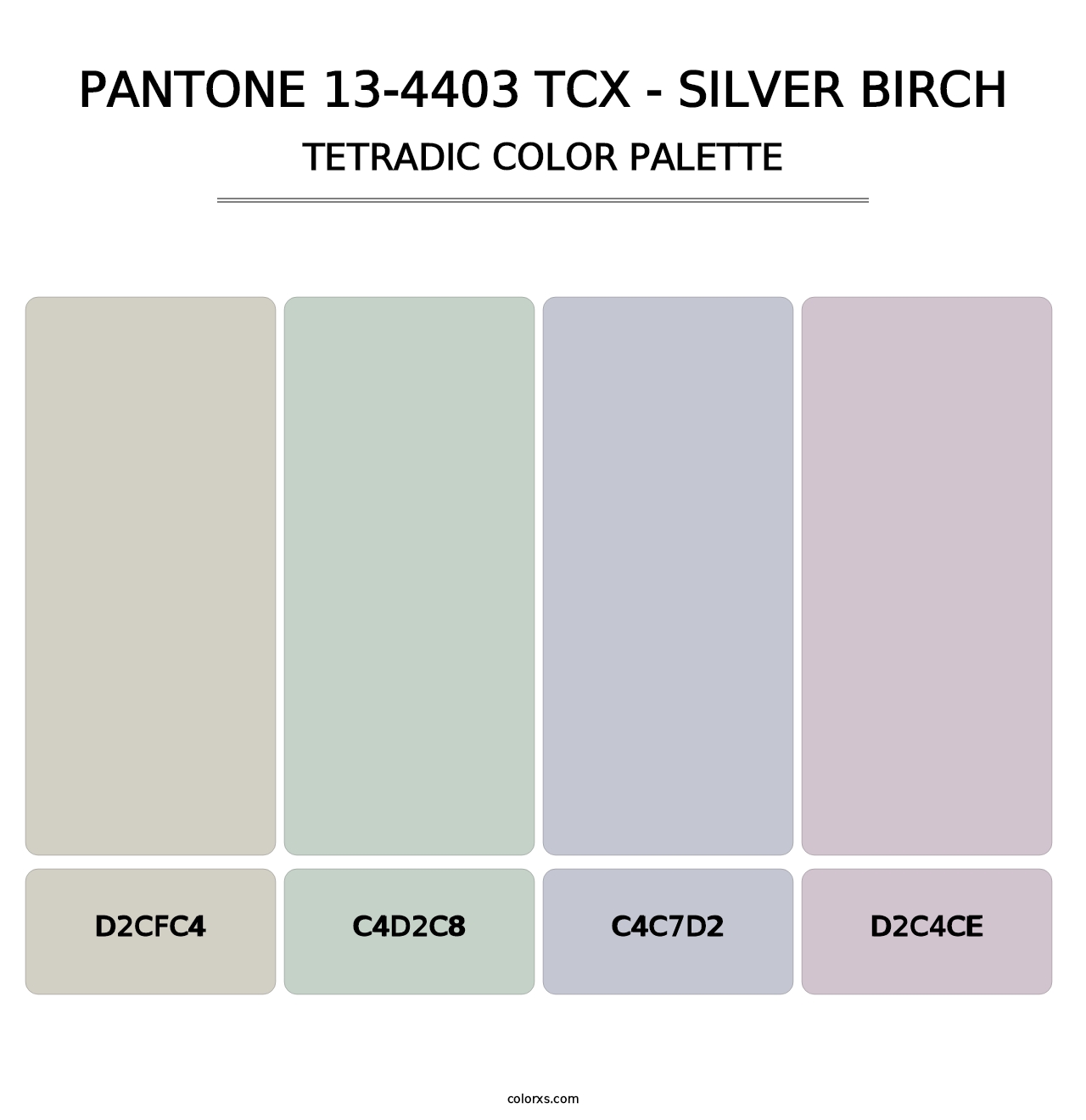 PANTONE 13-4403 TCX - Silver Birch - Tetradic Color Palette