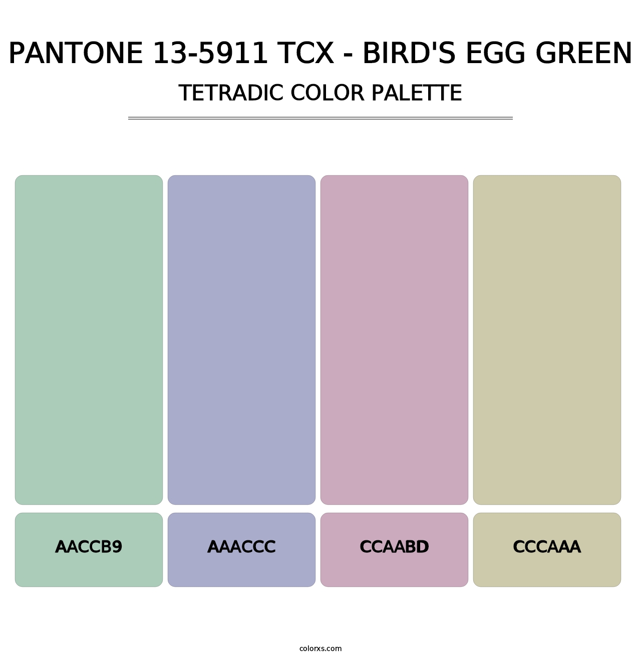 PANTONE 13-5911 TCX - Bird's Egg Green - Tetradic Color Palette