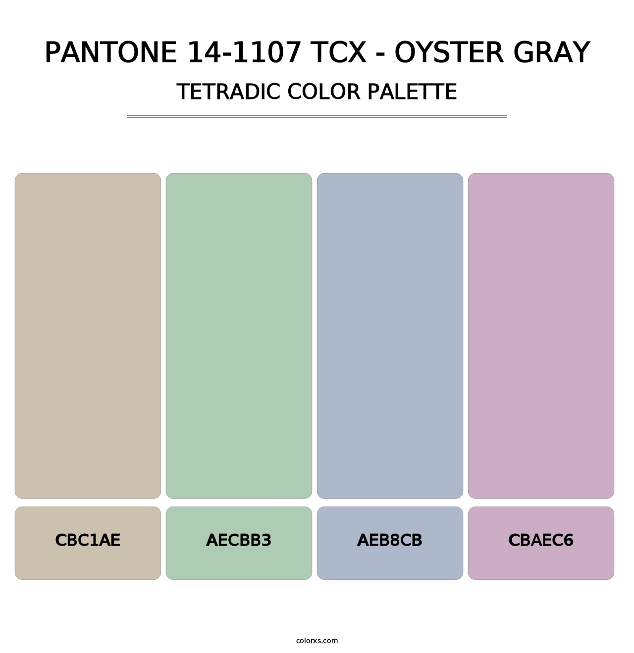 PANTONE 14-1107 TCX - Oyster Gray - Tetradic Color Palette