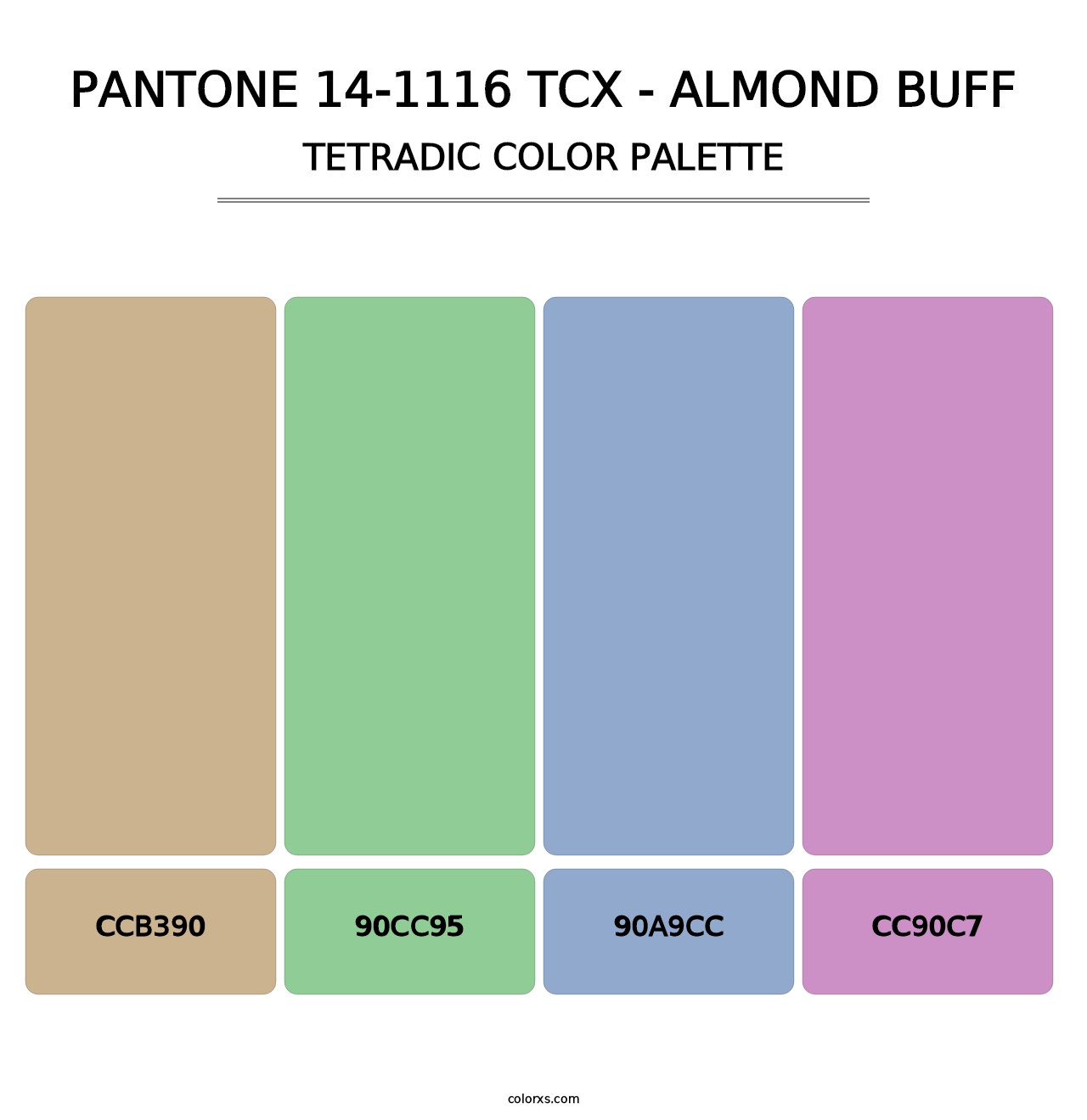 PANTONE 14-1116 TCX - Almond Buff - Tetradic Color Palette