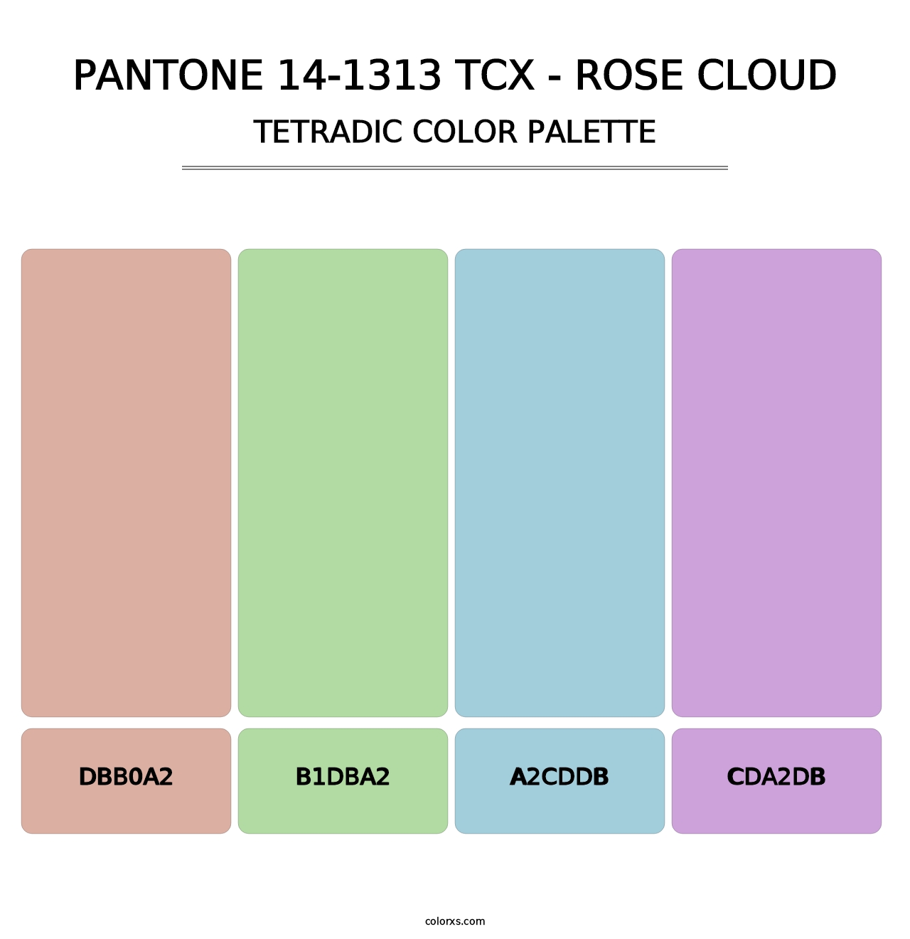 PANTONE 14-1313 TCX - Rose Cloud - Tetradic Color Palette