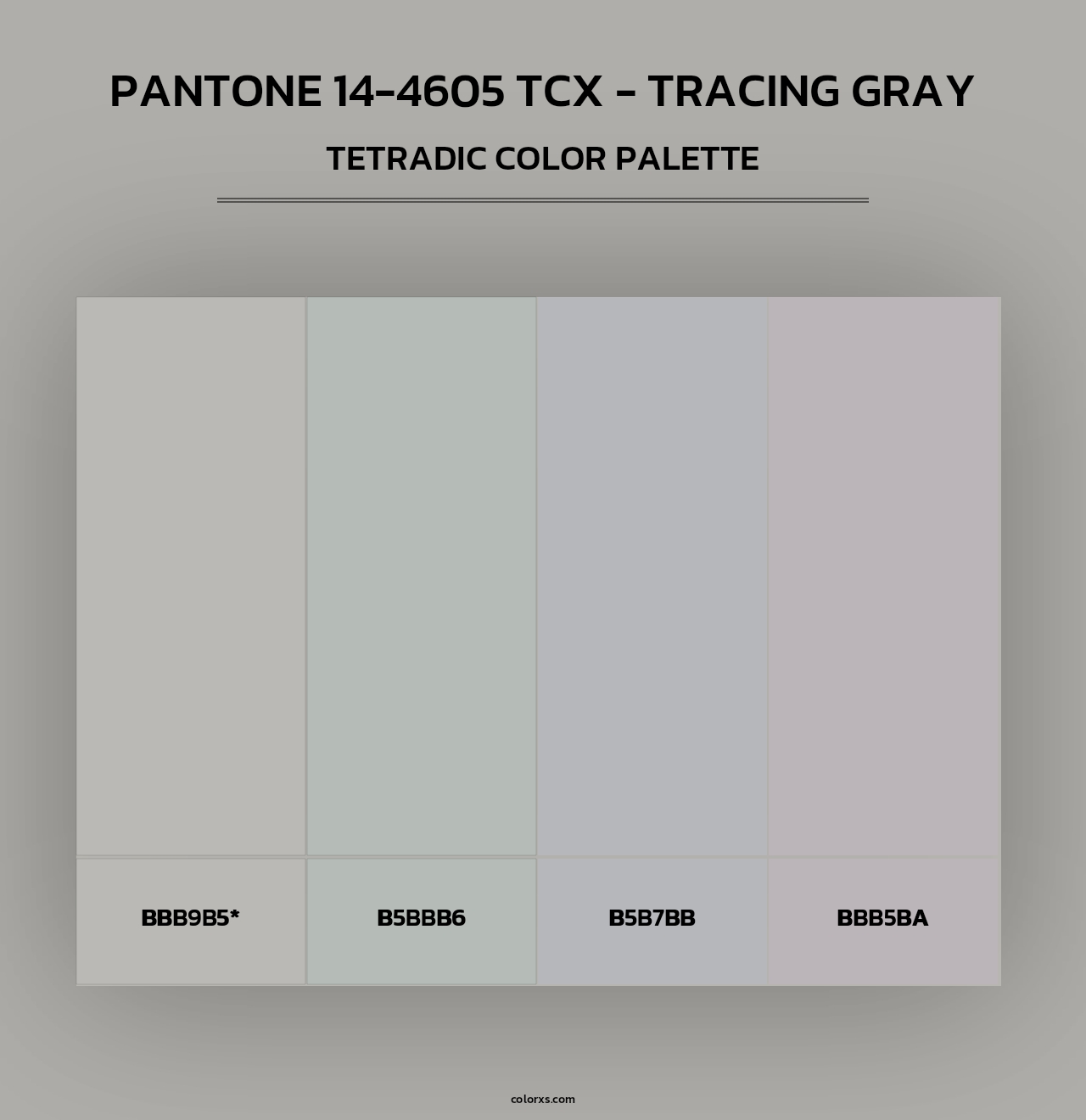 PANTONE 14-4605 TCX - Tracing Gray - Tetradic Color Palette