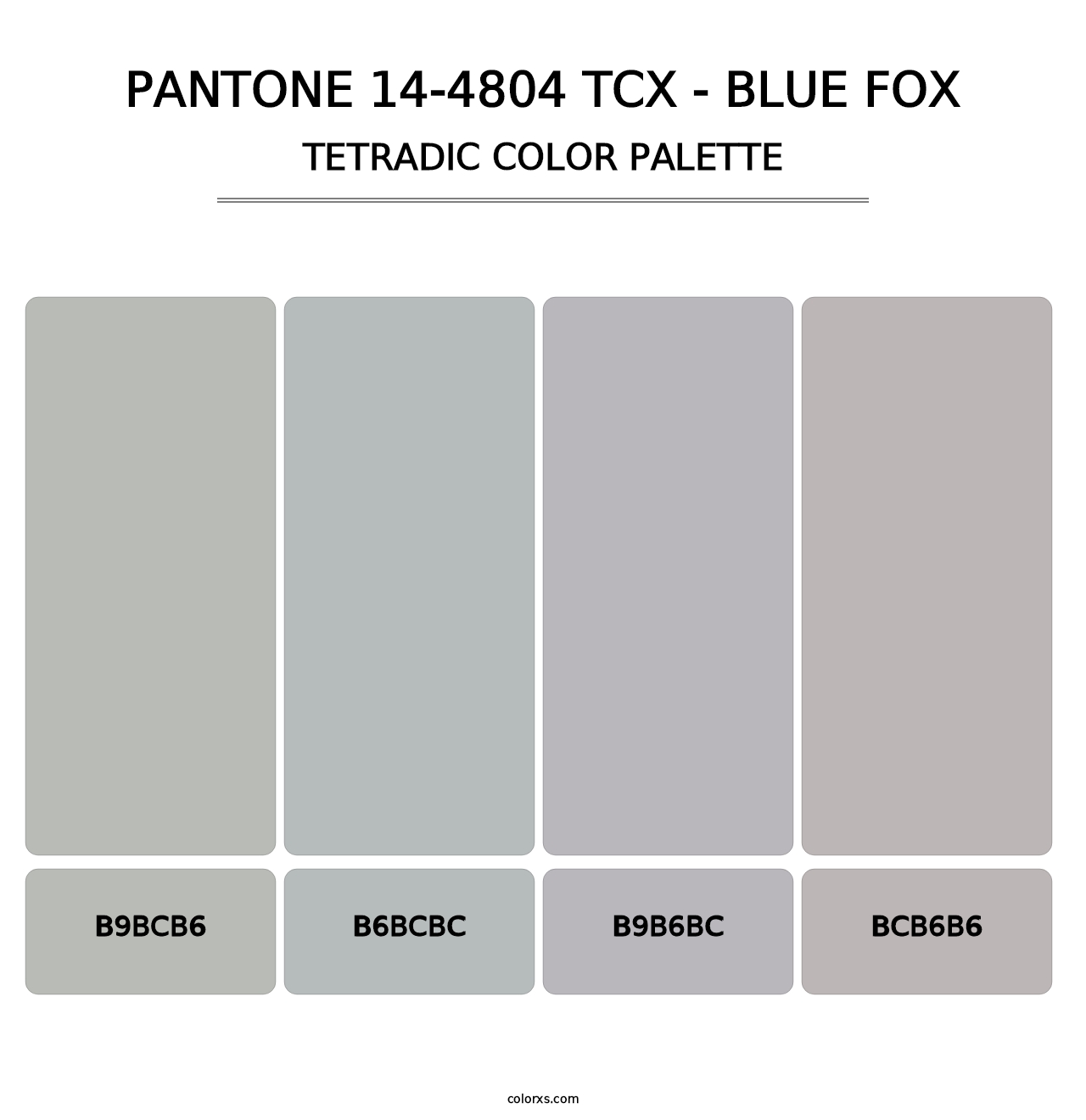 PANTONE 14-4804 TCX - Blue Fox - Tetradic Color Palette